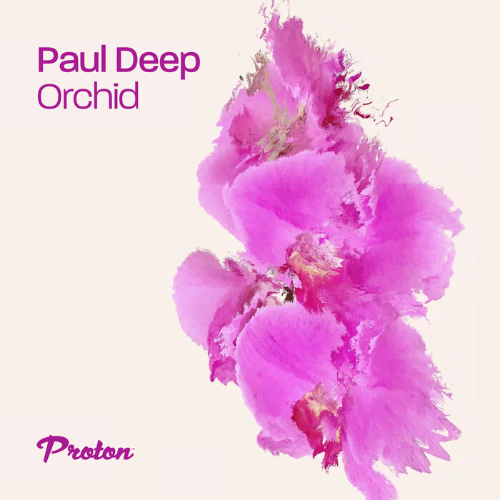 Paul Deep (AR) - Orchid