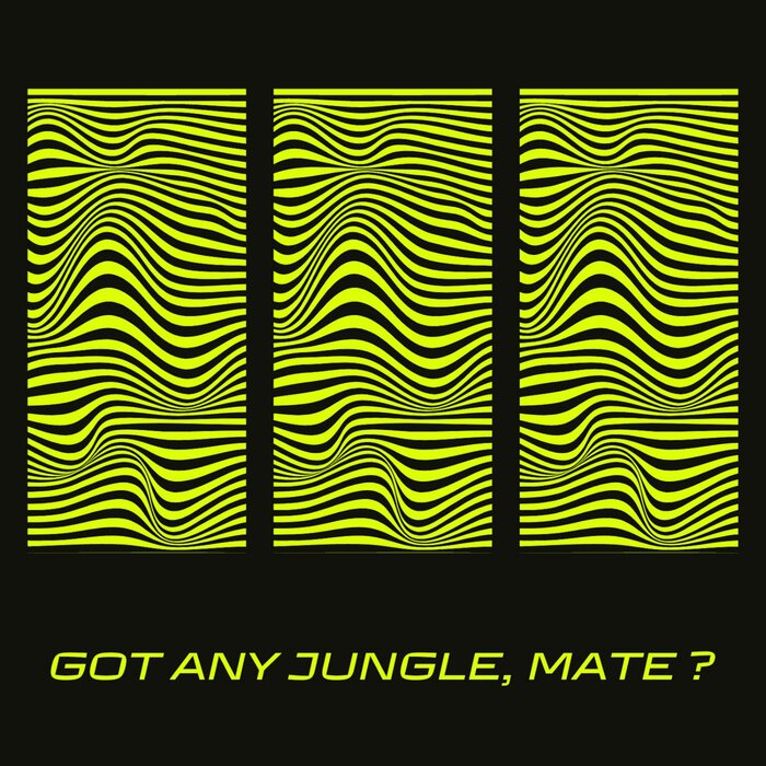 Thing - Got Any Jungle, Mate ?