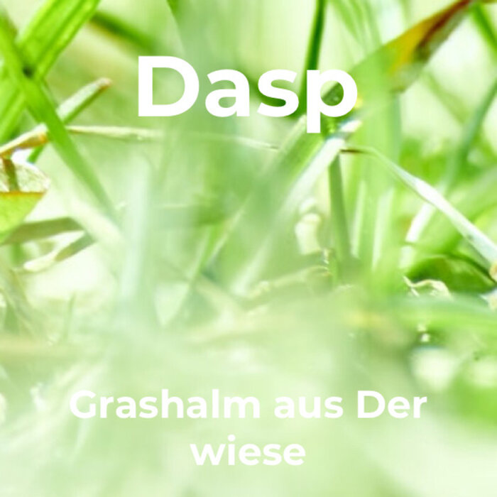 Dasp - Grashalm Aus Der Wiese