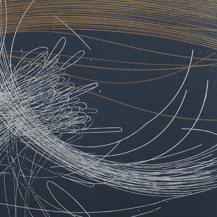 ANAIS TUERLINCKX - Dissection Lente D'Un Piano Rouille