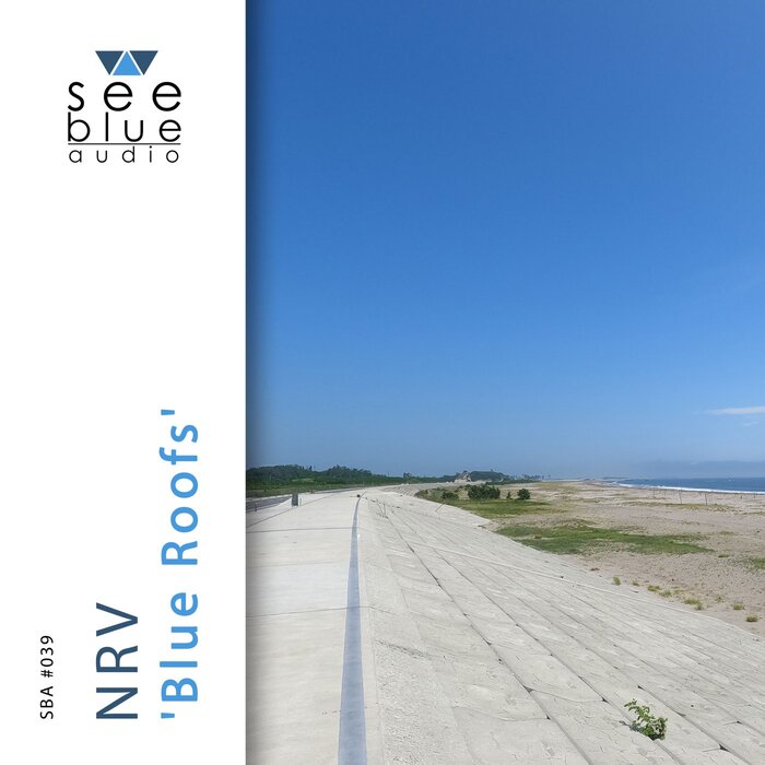 NRV - Blue Roofs