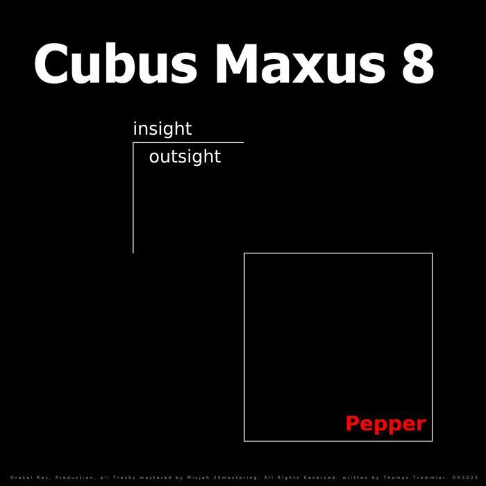 Thomas Trommler - Cubus Maxus 8 (Insight Outsight Pepper)