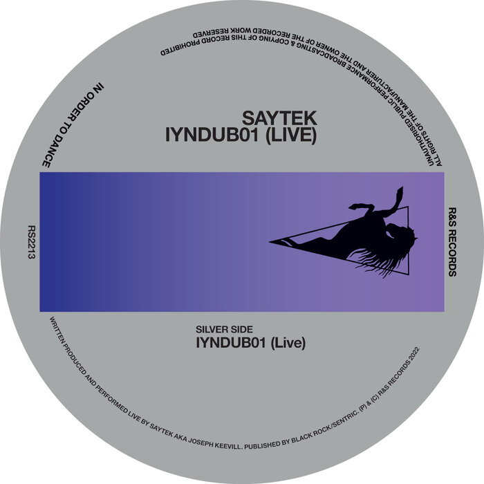 Saytek - IYNDUB01