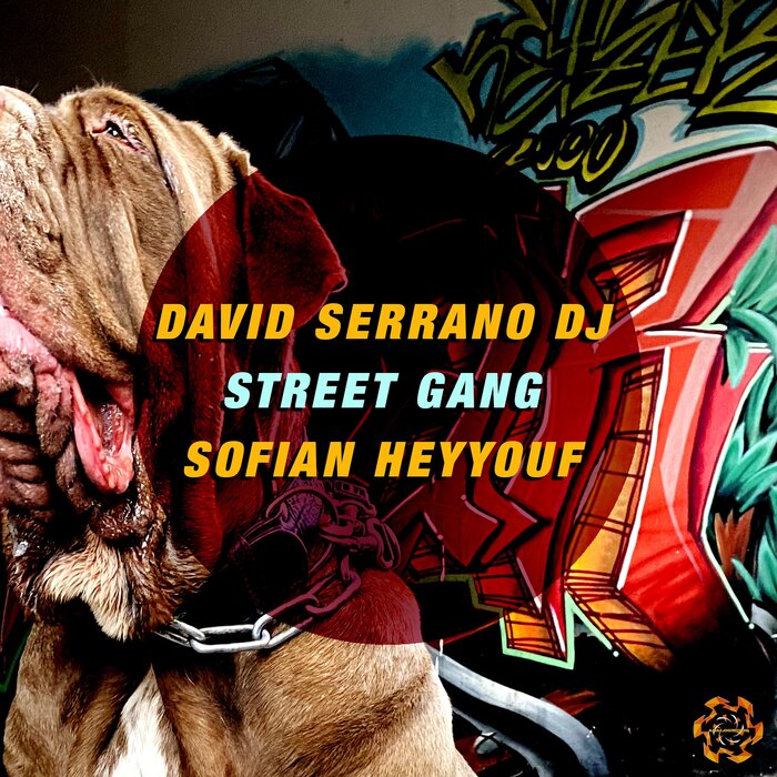 DAVID SERRANO DJ FEAT SOFIAN HEYYOUF - Street Gang