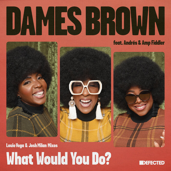 DAMES BROWN FEAT AMP FIDDLER/ANDRES - What Would You Do? (Louie Vega & Josh Milan Mixes)