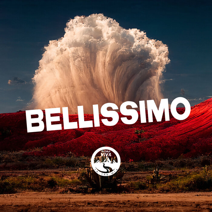 Various - Bellissimo