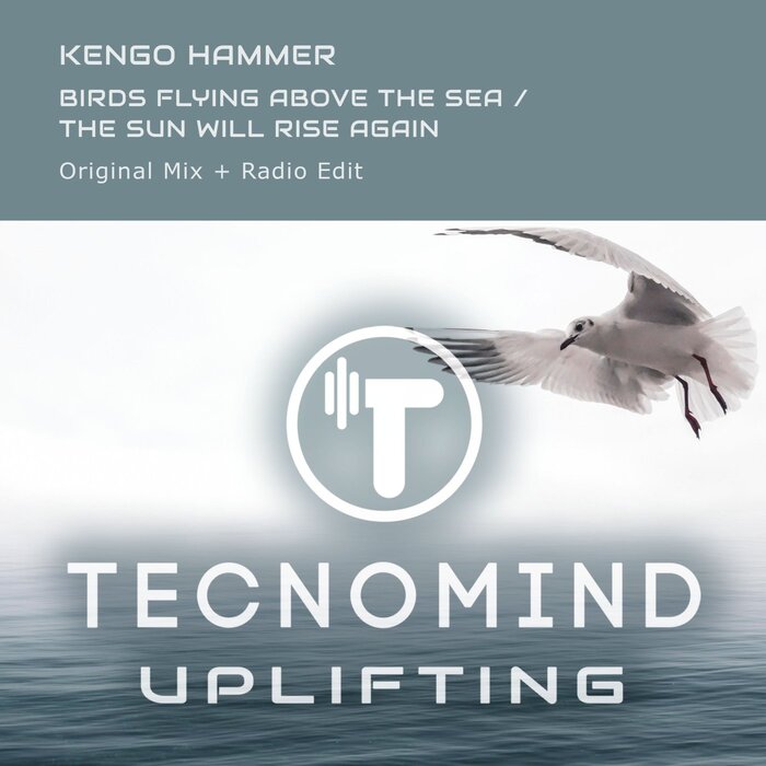 Kengo Hammer - Birds Flying Above The Sea / The Sun Will Rise Again