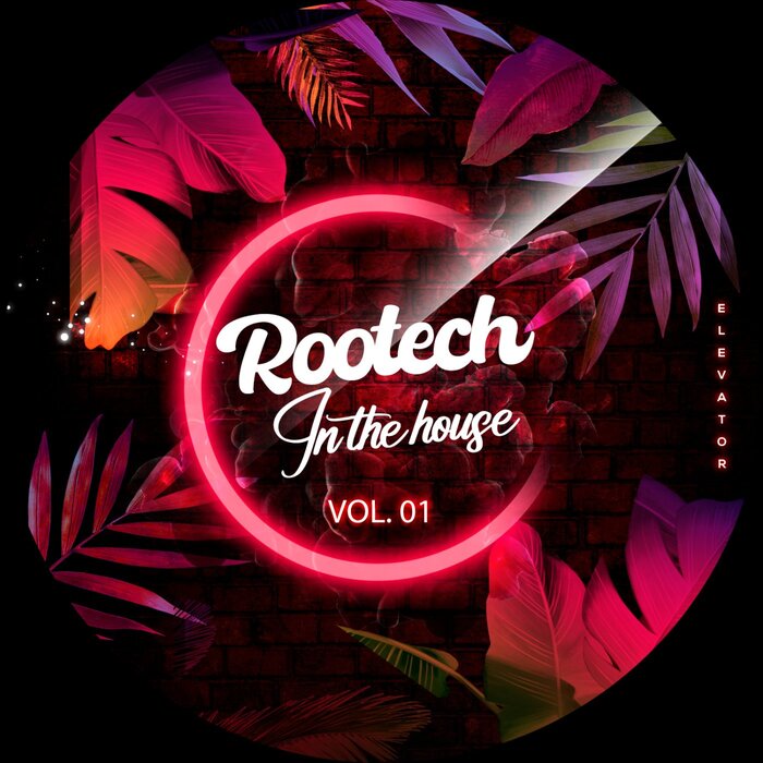 Rootech In The House Vol 1 By Branco Simonetti/TechRasta/Viltreen.