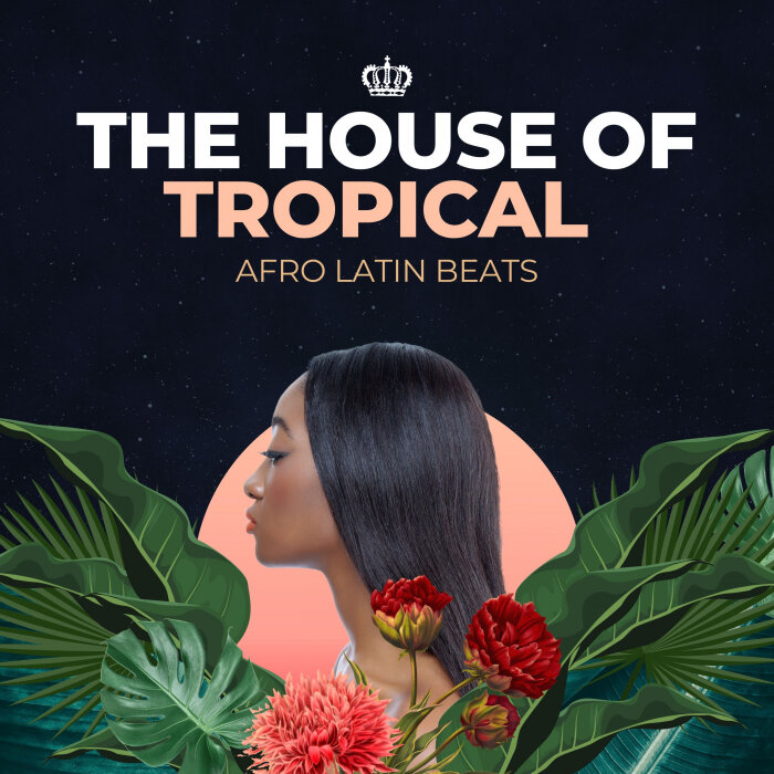 Various - The House Of Tropical