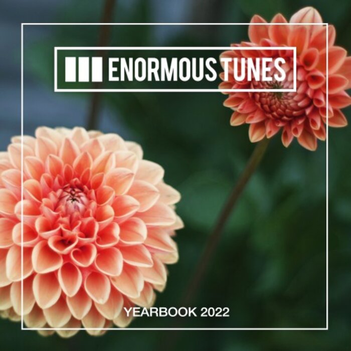Various - Enormous Tunes - The Yearbook 2022