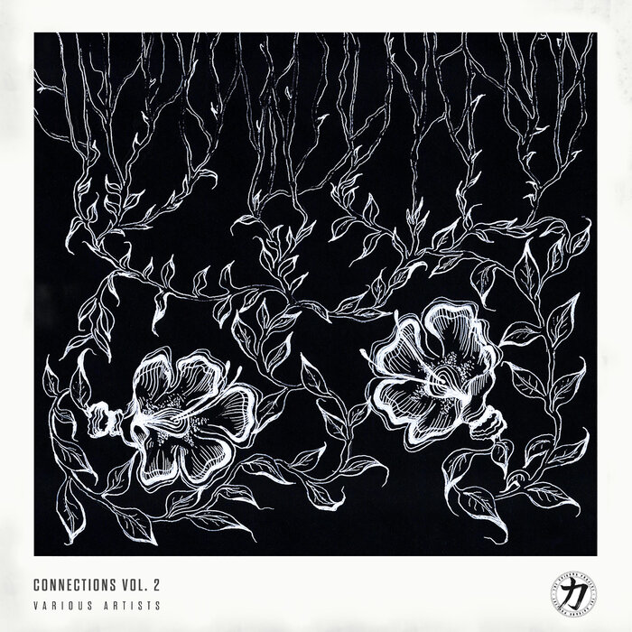 Connections Vol 2 by The Chikara Project on MP3, WAV, FLAC, AIFF & ALAC