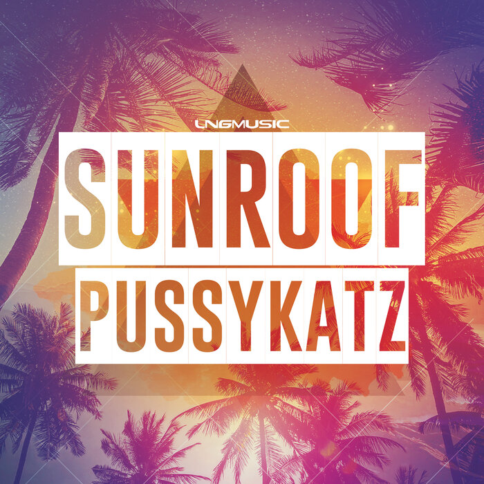 Sunroof by PussyKatz on MP3, WAV, FLAC, AIFF & ALAC at Juno Download