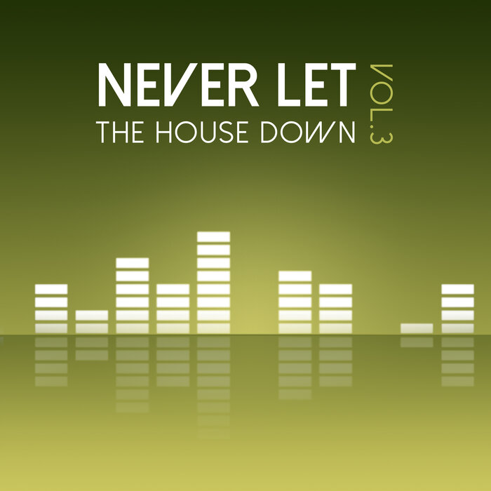 Various - Never Let The House Down, Vol 3
