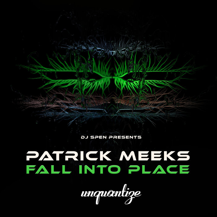 Patrick Meeks - Fall Into Place