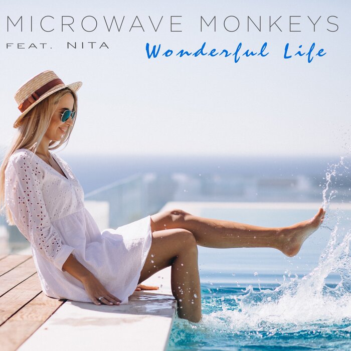 Microwave Monkeys feat Nita - Wonderful Life