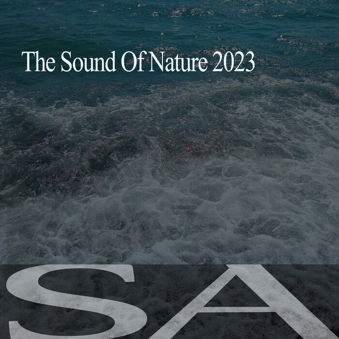 Best Websites to Download Nature Sounds[2023]