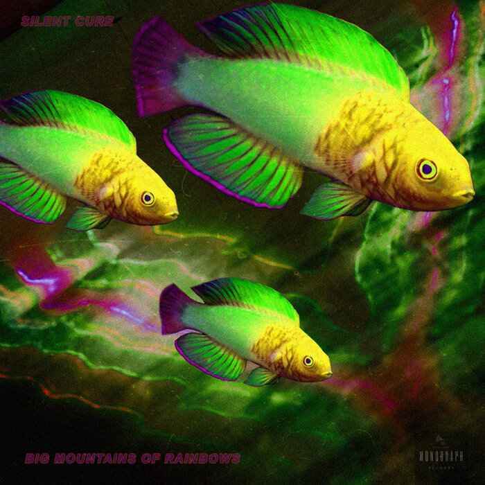 Silent Cure - Big Mountains Of Rainbows