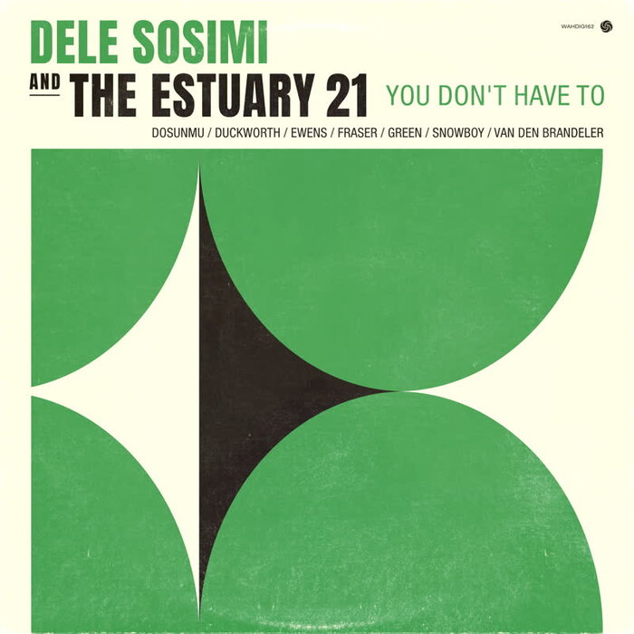 Dele Sosimi & The Estuary 21 - You Don't Have To