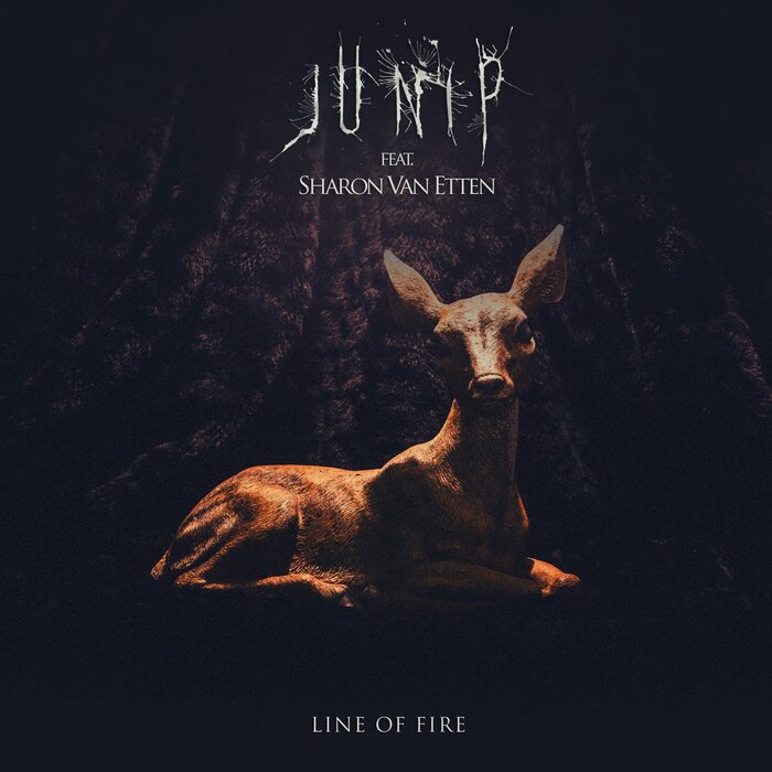 Junip feat Sharon Van Etten - Line Of Fire