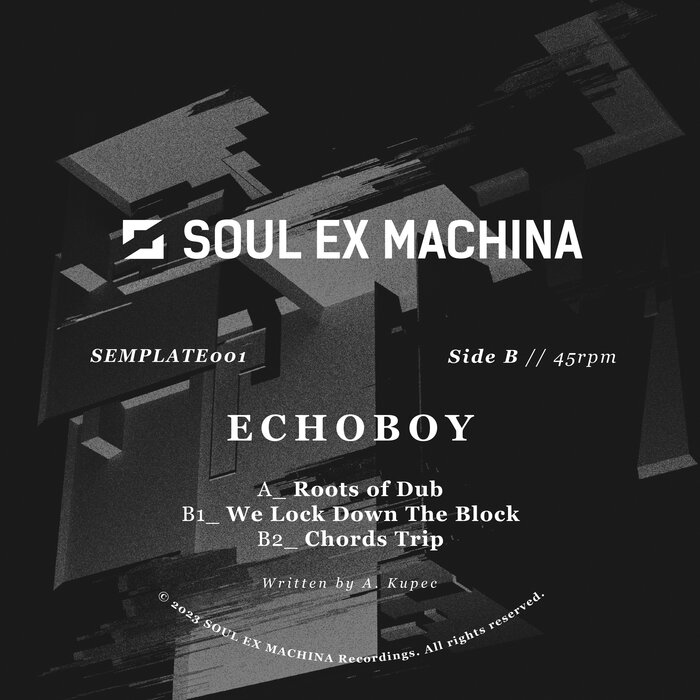 EchoBoy - Roots Of Dub