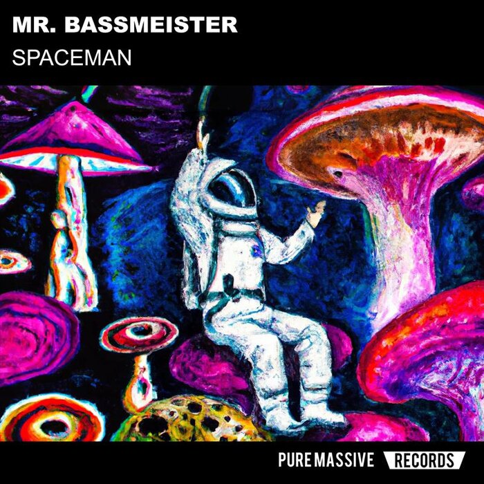 Mr. Bassmeister - Spaceman