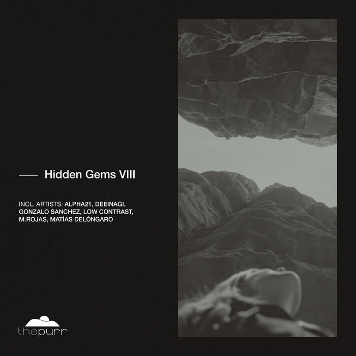 VARIOUS - Hidden Gems VIII