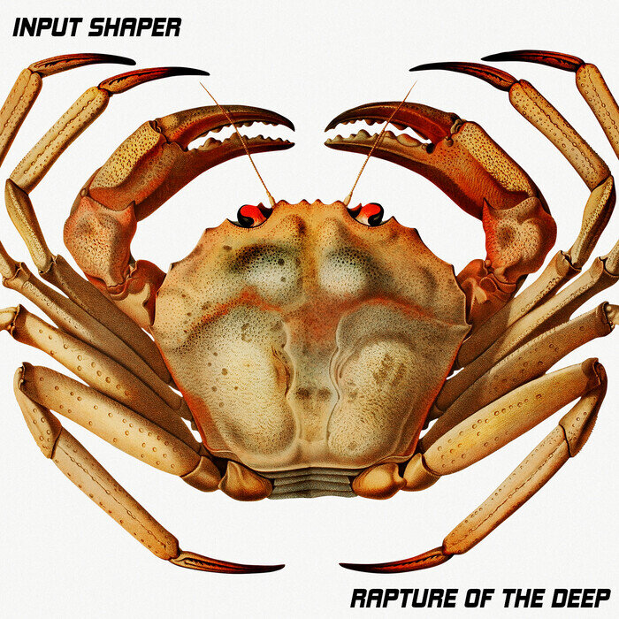 Input Shaper - Rapture Of The Deep