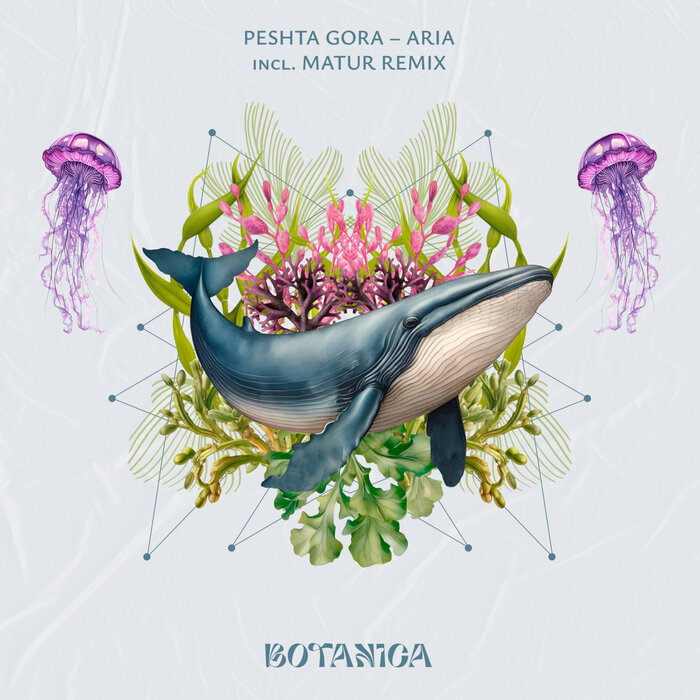 Aria By Peshta Gora On MP3, WAV, FLAC, AIFF & ALAC At Juno Download