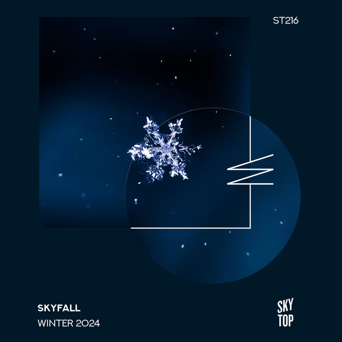 VA - SkyFall Winter 2024 [ST216]