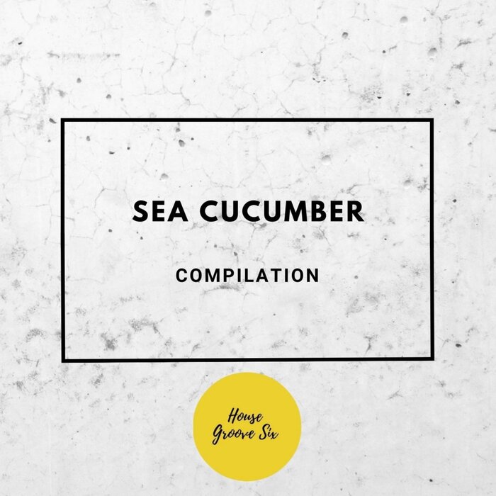 Marc Biel Sea Cucumber