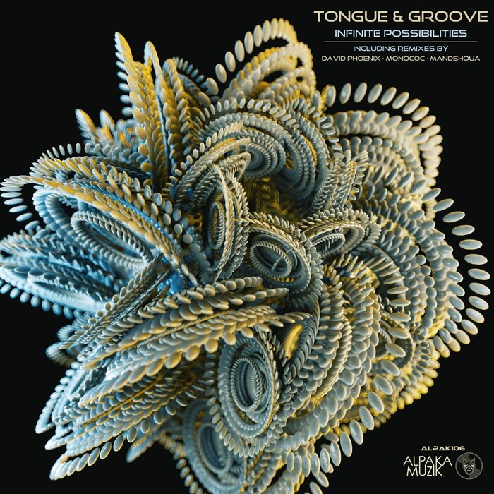 Infinite Possibilities by Tongue & Groove on MP3, WAV, FLAC, AIFF ...