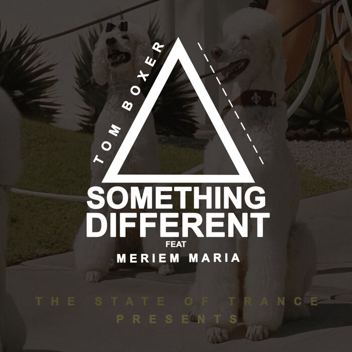 Tom Boxer feat Meriem Maria - Something Different