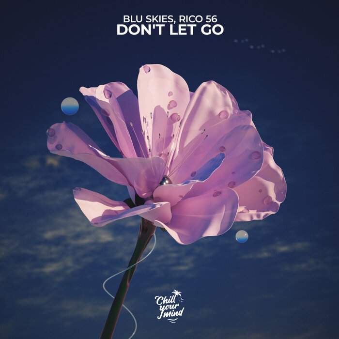 Don t Let Go by blu skies/Rico 56 on MP3, WAV, FLAC, AIFF & ALAC at ...