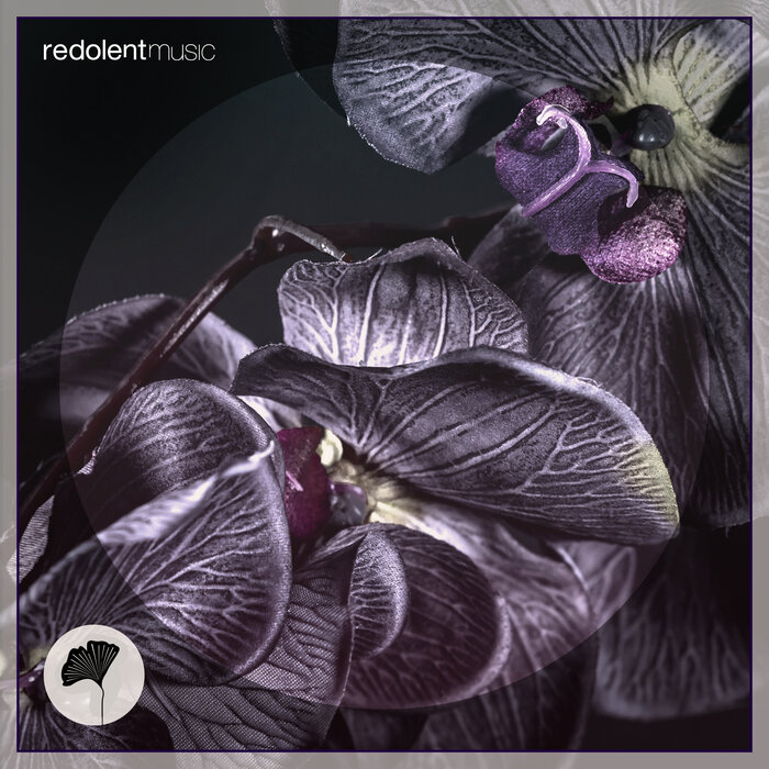 www.junodownload.com