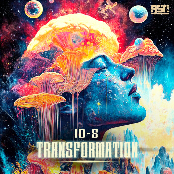 ID-S - Transformation